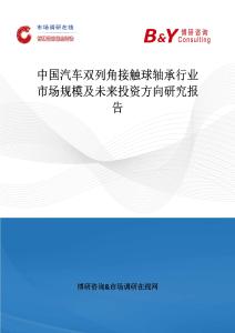 中國汽車雙列角接觸球軸承行業(yè)市場規(guī)模及未來投資方向研究報(bào)告