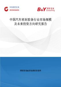 中國汽車密封膠條行業市場規模及未來投資方向研究報告