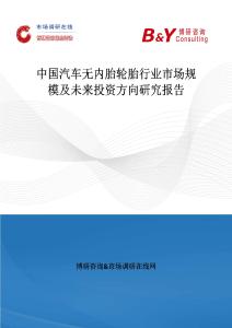中國汽車無內(nèi)胎輪胎行業(yè)市場規(guī)模及未來投資方向研究報告