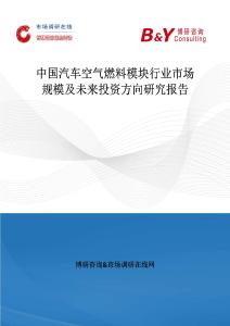 中國汽車空氣燃料模塊行業市場規模及未來投資方向研究報告