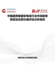 中国通用橡套软电缆行业市场前景预测及投资价值评估分析报告