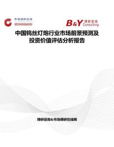 中國鎢絲燈炮行業(yè)市場前景預測及投資價值評估分析報告
