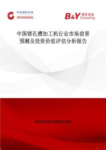 中国锁孔槽加工机行业市场前景预测及投资价值评估分析报告