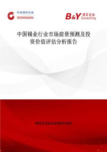 中國錫業(yè)行業(yè)市場前景預(yù)測及投資價(jià)值評估分析報(bào)告