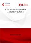 中國丁基內胎行業市場前景預測及投資價值評估分析報告