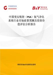 中国变压吸附（PSA）氢气净化系统行业市场前景预测及投资价值评估分析报告
