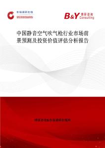 中国静音空气吹气枪行业市场前景预测及投资价值评估分析报告
