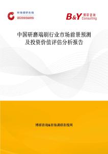 中國研磨端刷行業市場前景預測及投資價值評估分析報告