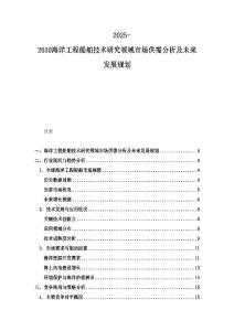 2025-2030海洋工程船舶技術研究領域市場供需分析及未來發展規劃