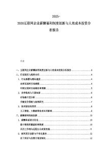 2025-2030互聯網企業薪酬福利制度創新與人效成本投資分析報告