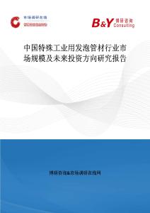 中国特殊工业用发泡管材行业市场规模及未来投资方向研究报告
