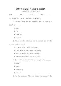 通用英語詞匯與語法強化試題