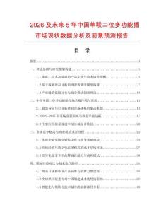 2026及未來5年中國單聯二位多功能插市場現狀數據分析及前景預測報告