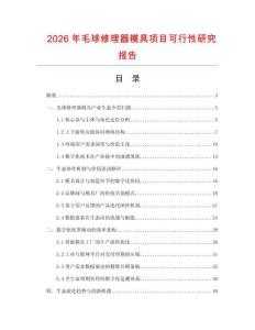 2026年毛球修理器模具項(xiàng)目可行性研究報(bào)告