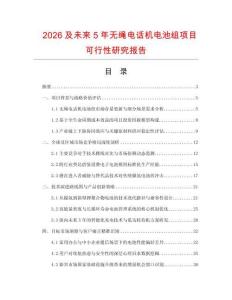2026及未來(lái)5年無(wú)繩電話機(jī)電池組項(xiàng)目可行性研究報(bào)告