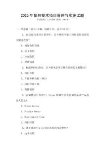 2025年信息技術項目管理與實施試題