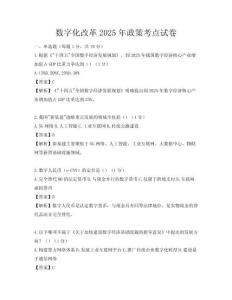 數字化改革2025年政策考點試卷