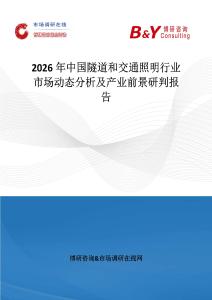2026年中國隧道和交通照明行業市場動態分析及產業前景研判報告