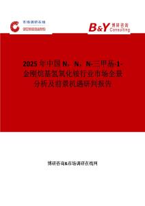 2025年中國N，N，N-三甲基-1-金剛烷基氫氧化銨行業市場全景分析及前景機遇研判報告