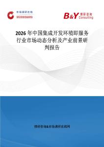 2026年中國集成開發環境即服務行業市場動態分析及產業前景研判報告