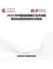 2025年中國蝕刻模板行業市場規模及投資前景預測分析報告