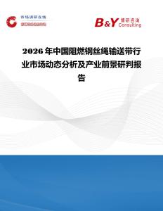 2026年中国阻燃钢丝绳输送带行业市场动态分析及产业前景研判报告