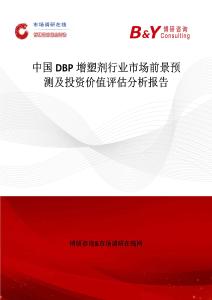中國DBP增塑劑行業市場前景預測及投資價值評估分析報告