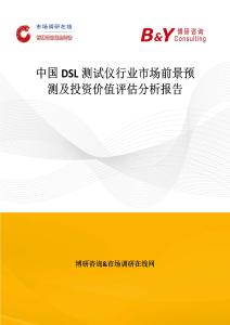 中國DSL測試儀行業市場前景預測及投資價值評估分析報告