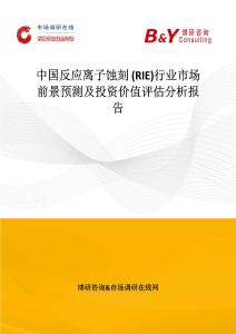 中國反應離子蝕刻 (RIE)行業市場前景預測及投資價值評估分析報告