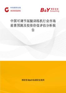 中國可調節屈腿訓練機行業市場前景預測及投資價值評估分析報告