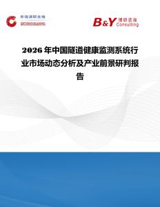 2026年中國隧道健康監測系統行業市場動態分析及產業前景研判報告