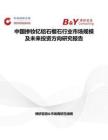 中國摻釹釔鋁石榴石行業市場規模及未來投資方向研究報告