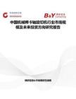 中國機械榫卡軸旋切機行業市場規模及未來投資方向研究報告