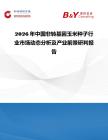 2026年中國非轉基因玉米種子行業市場動態分析及產業前景研判報告