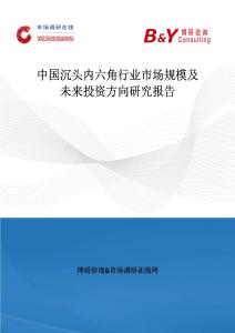 中國沉頭內(nèi)六角行業(yè)市場規(guī)模及未來投資方向研究報(bào)告