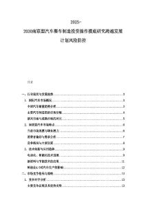 2025-2030南聯(lián)盟汽車整車制造投資操作摸底研究跨越發(fā)展計劃風(fēng)險防控