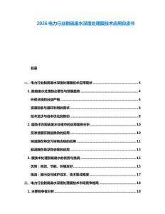 2026电力行业脱硫废水深度处理膜技术应用白皮书