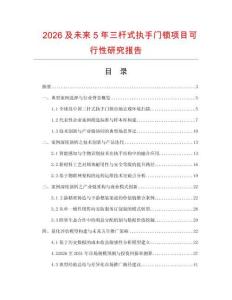 2026及未来5年三杆式执手门锁项目可行性研究报告