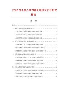 2026及未來5年四眼灶項目可行性研究報告