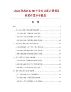 2026及未來5-10年自應力壓力管項目投資價值分析報告