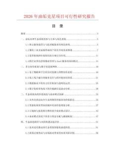 2026年油垢克星項目可行性研究報告