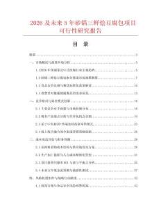 2026及未來5年砂鍋三鮮燴豆腐包項目可行性研究報告