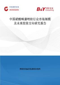 中國硝酸咪康唑栓行業市場規模及未來投資方向研究報告
