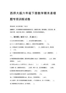 2026春西師大版六年級下冊數學期末易錯題專項訓練試卷及答案