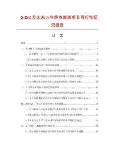 2026及未来5年萨克斯架项目可行性研究报告
