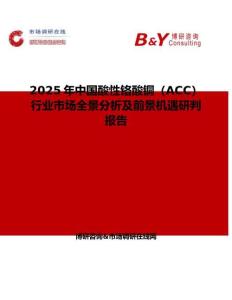 2025年中国酸性铬酸铜（ACC）行业市场全景分析及前景机遇研判报告