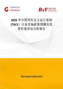 2025年中國列車自主運行系統(tǒng)(TACS）行業(yè)市場前景預測及投資價值評估分析報告