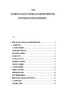 2025-2030葡萄牙電動自行車制造企業市場供需平衡研究現狀競爭格局評估投資發展規劃報告