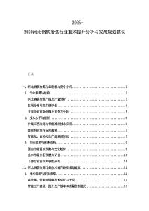 2025-2030河北鋼鐵冶煉行業(yè)技術(shù)提升分析與發(fā)展規(guī)劃建議