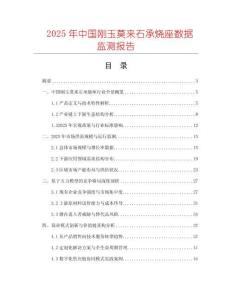 2025年中国刚玉莫来石承烧座数据监测报告